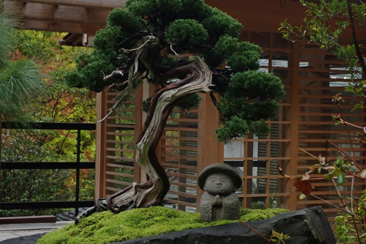 Five Japanese Techniques for a Calmer, More Grounded Mind