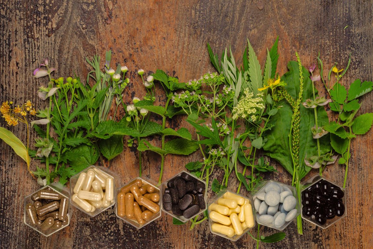 Functional Supplements 101: Bridging Nutrition and Cellular Repair