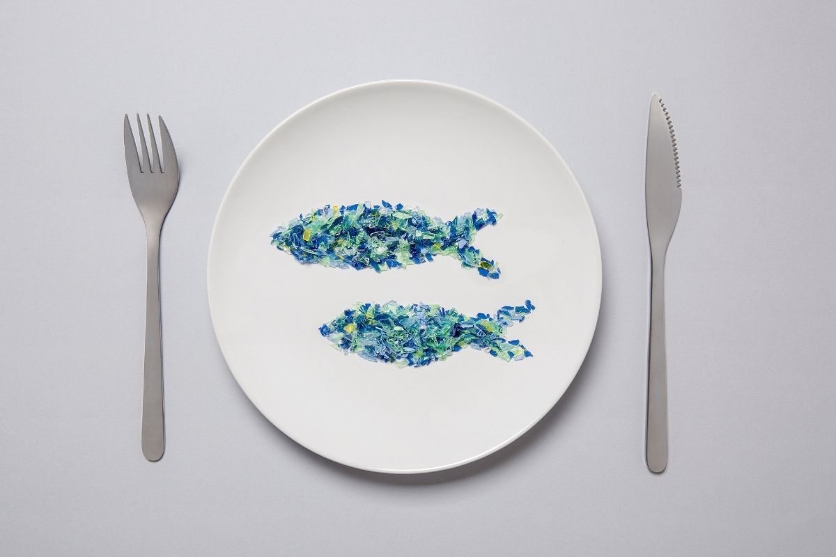 Microplastics: Tiny Particles, Big Questions for Human Health