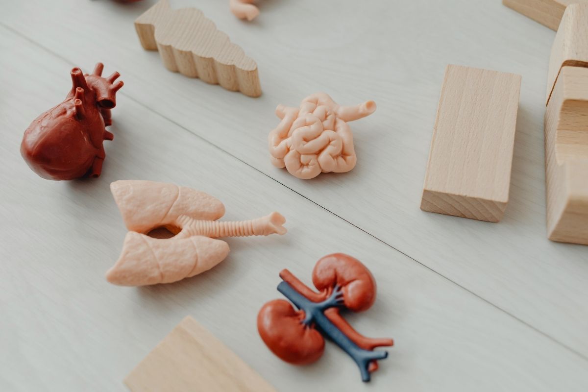 GLP-1 Drugs Beyond Weight Loss: What the Evidence Actually Shows