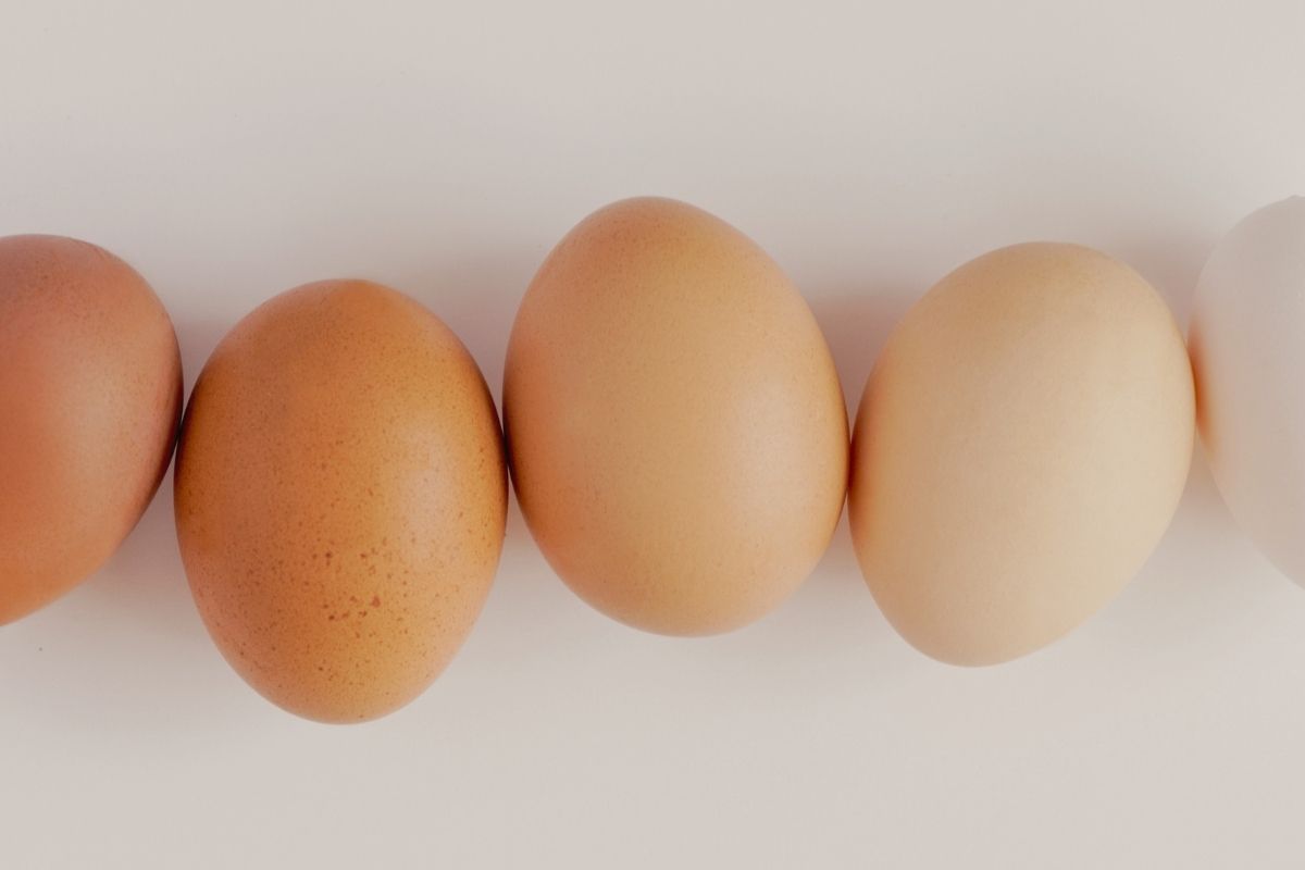 White Vs Brown Eggs: Debunking the Health Myth