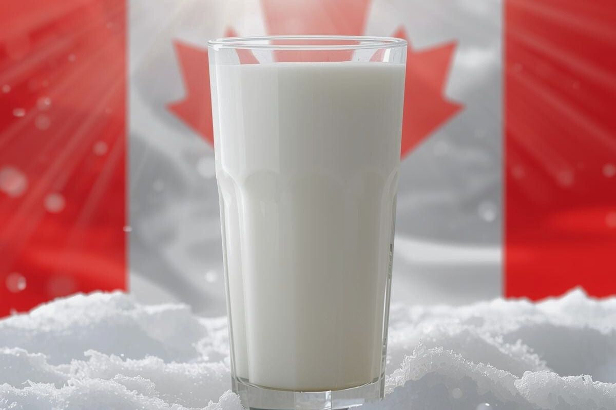 Why Vitamin D-Fortified Milk Is Trending in Canada Right Now (and What It Means for Your Glass)