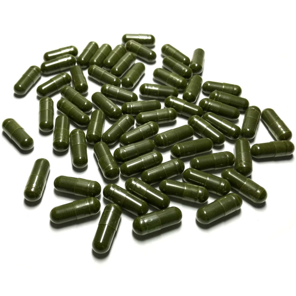 Chlorella