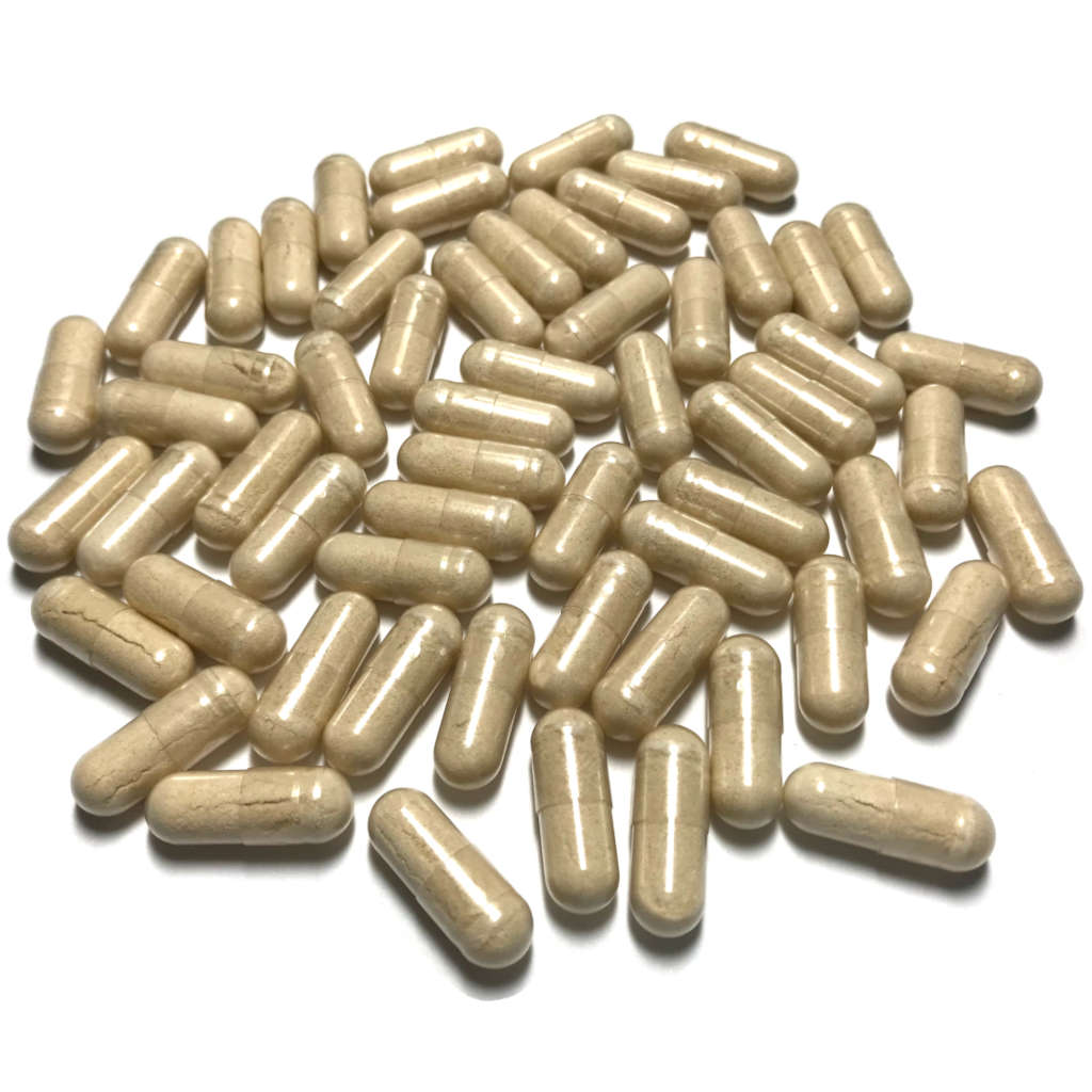 White Kidney Bean
